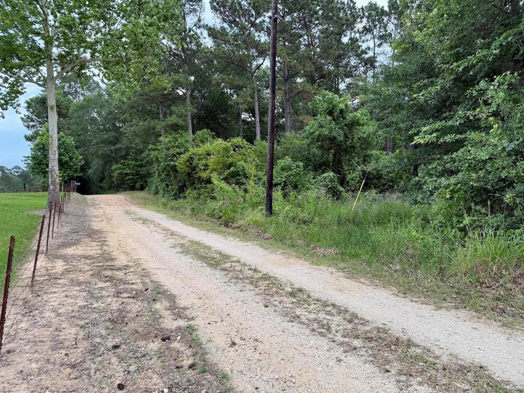 Twin Oaks Drive, Coldspring, Texas image 10