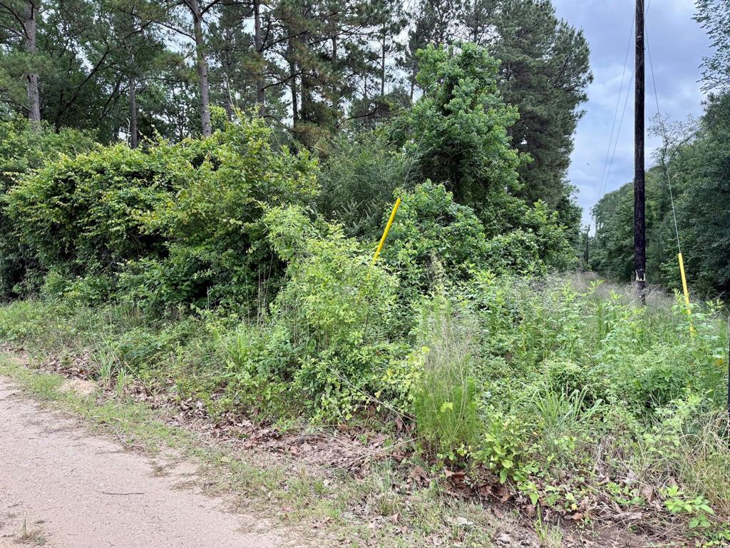 Twin Oaks Drive, Coldspring, Texas image 7