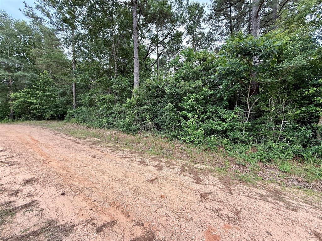 Twin Oaks Drive, Coldspring, Texas image 1