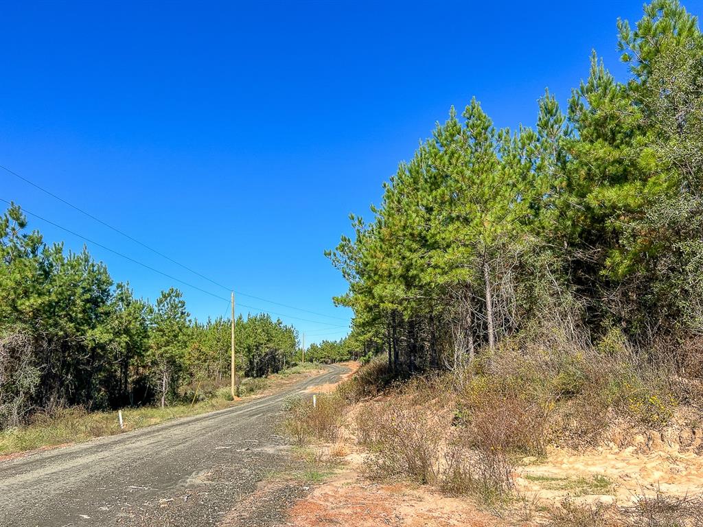 05 County Road 1060, Center, Texas image 11