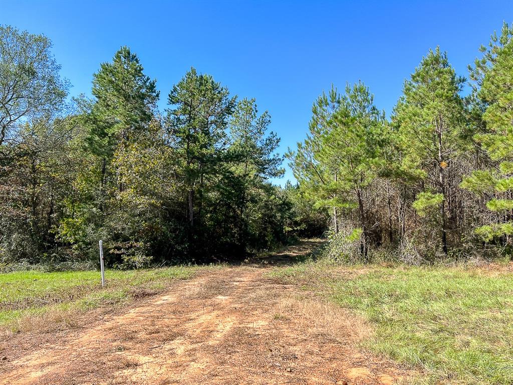 05 County Road 1060, Center, Texas image 8