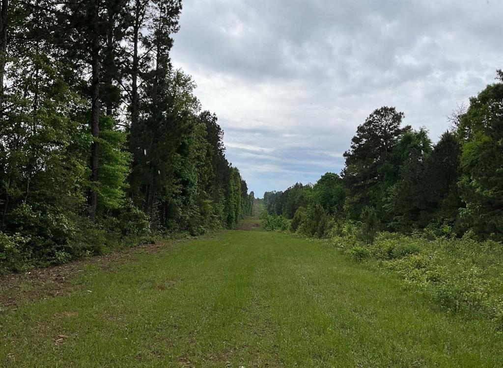 05 County Road 1060, Center, Texas image 5