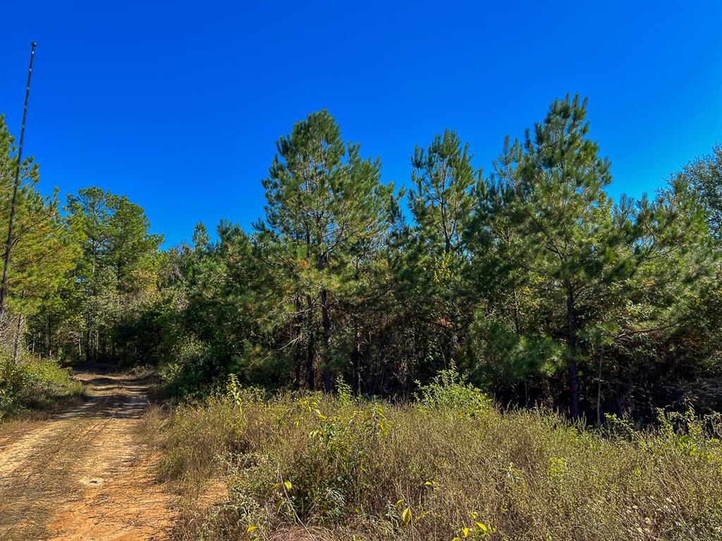 05 County Road 1060, Center, Texas image 7