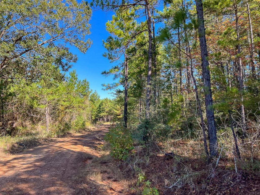 05 County Road 1060, Center, Texas image 2