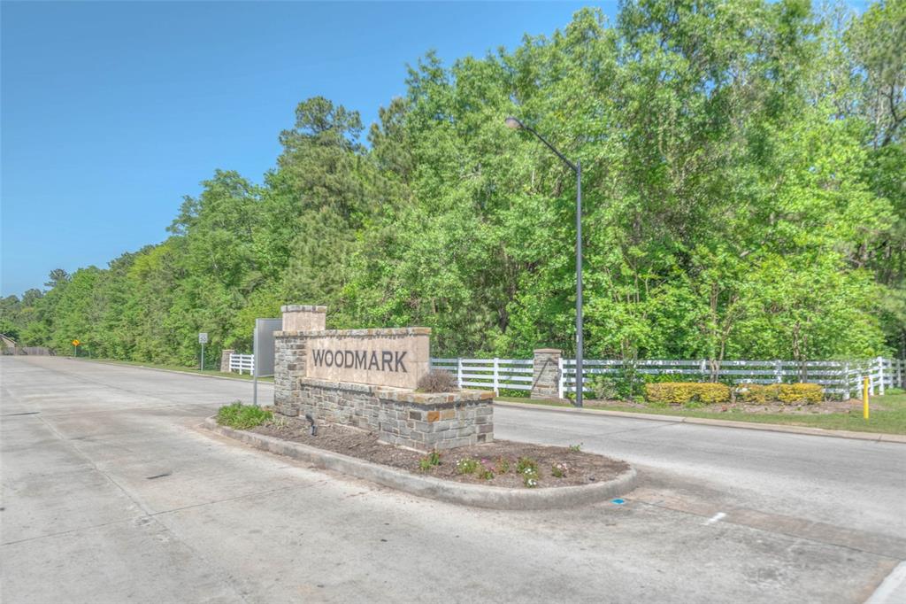11438 Barbican Court, Conroe, Texas image 41
