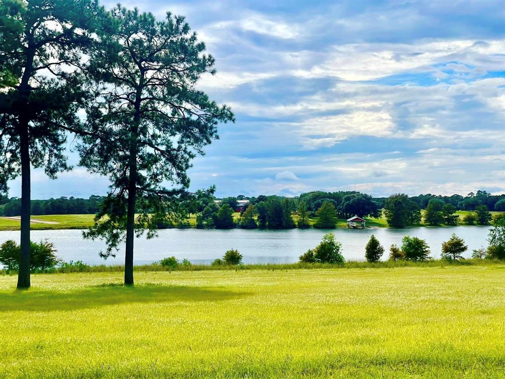 TBD E Lakeland Court, Hillister, Texas image 9