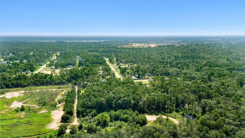 23501 Cranefly Lane, New Caney, Texas image 15