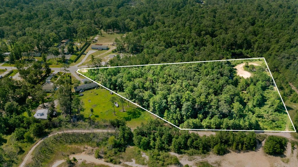 23501 Cranefly Lane, New Caney, Texas image 9