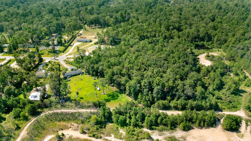 23501 Cranefly Lane, New Caney, Texas image 8