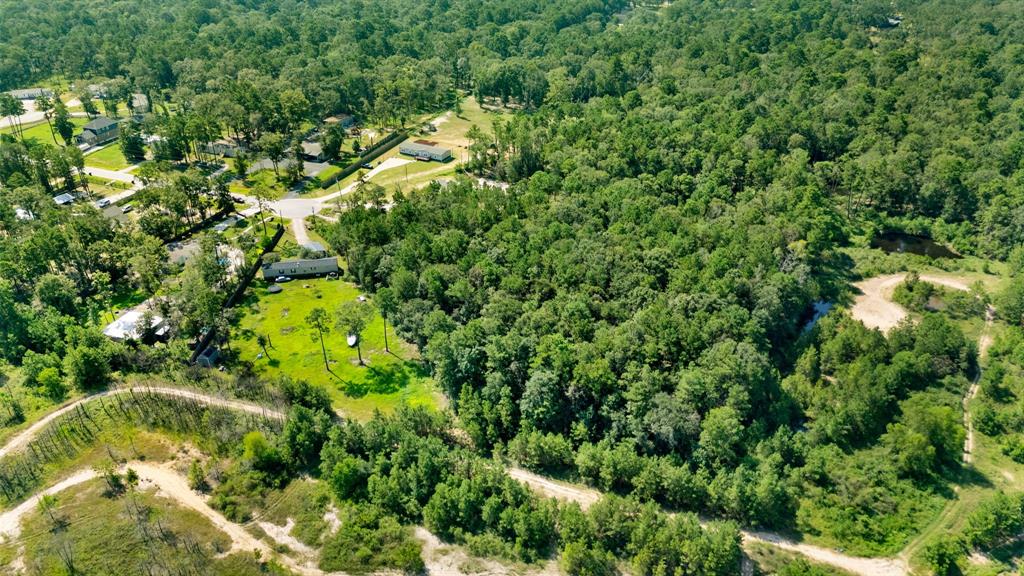 23501 Cranefly Lane, New Caney, Texas image 6