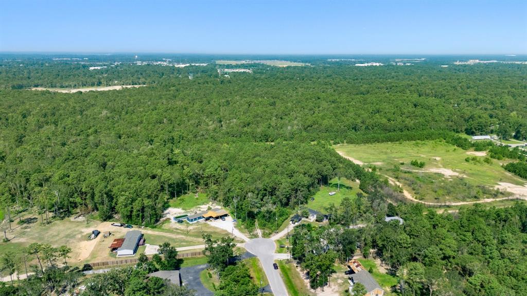 23501 Cranefly Lane, New Caney, Texas image 13