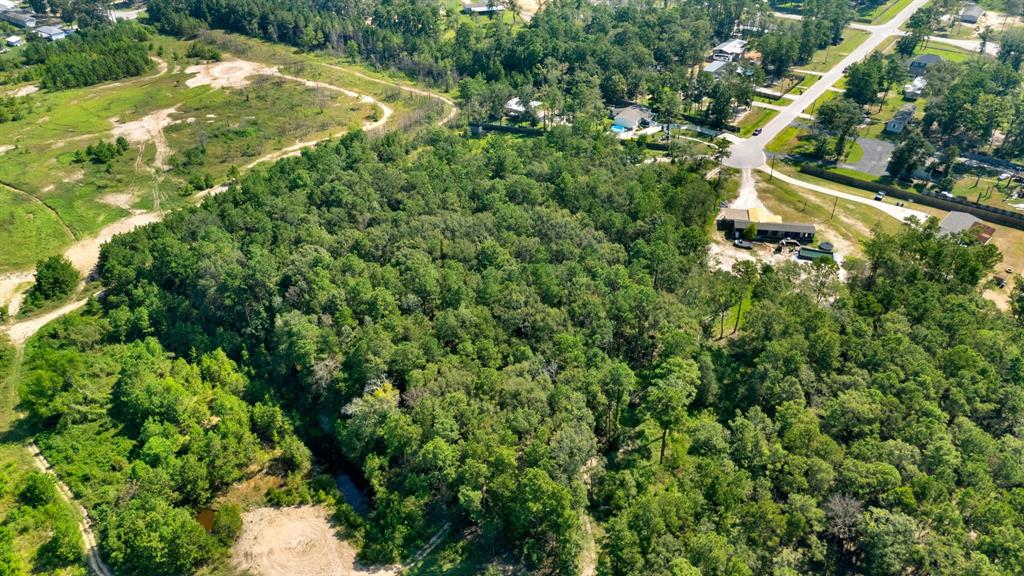 23501 Cranefly Lane, New Caney, Texas image 4