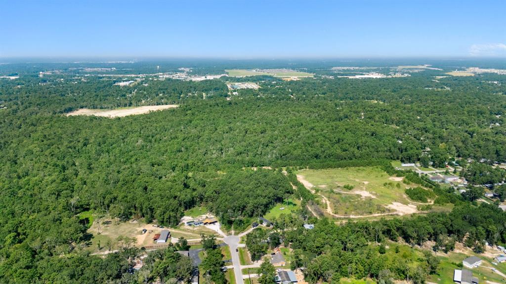 23501 Cranefly Lane, New Caney, Texas image 16