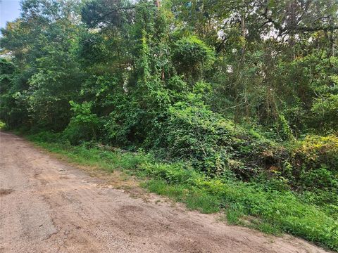 Lot 19 Mossyknoll Drive Plantersville TX 77363