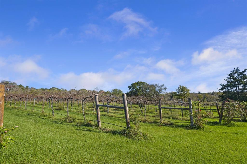 207 Dickens Ranch Road