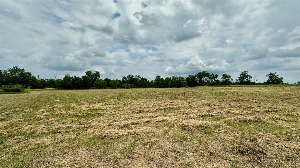 120 Timber Creek Road, New Waverly, Texas image 5
