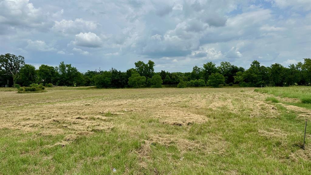 120 Timber Creek Road, New Waverly, Texas image 2