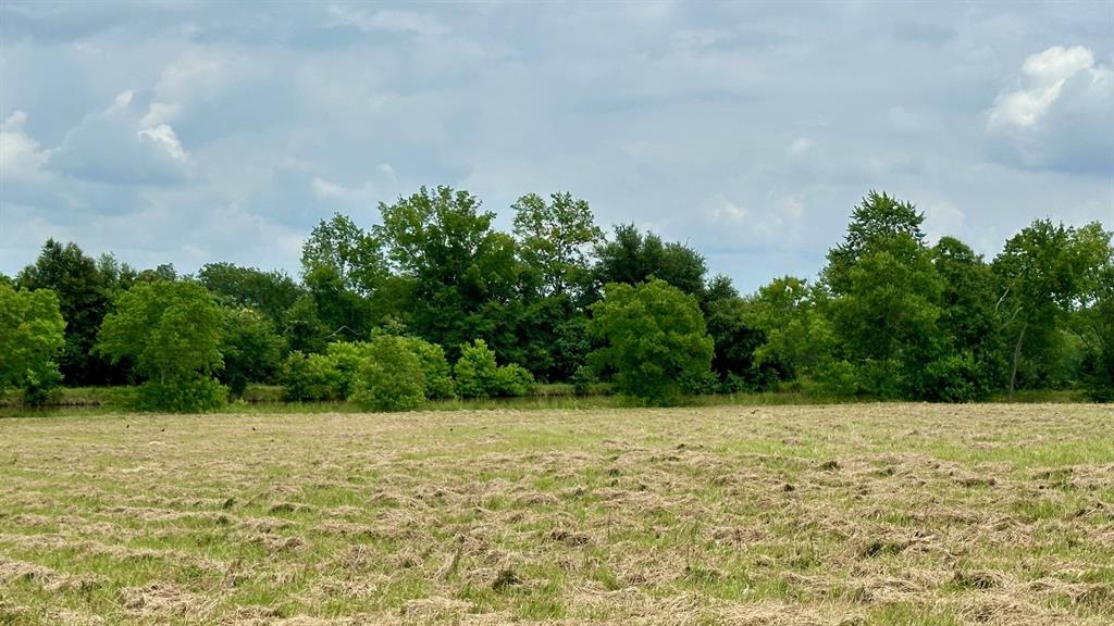 120 Timber Creek Road, New Waverly, Texas image 1