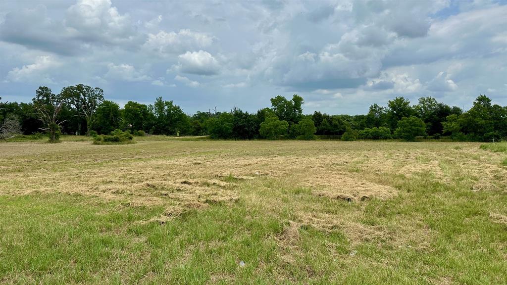 120 Timber Creek Road, New Waverly, Texas image 4