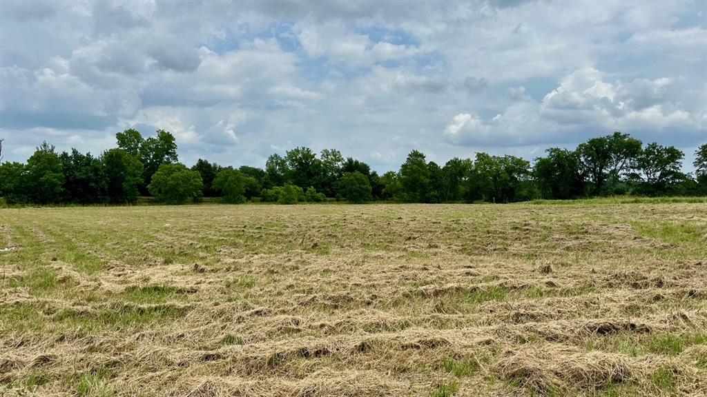 120 Timber Creek Road, New Waverly, Texas image 6
