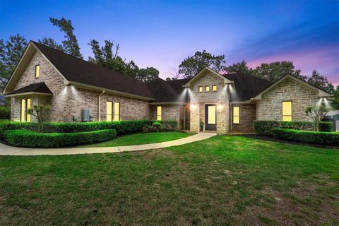 13130 Victoria Trace, Montgomery, TX 77316 - #: 13000221