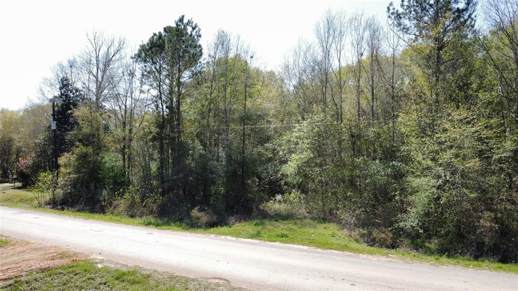 Oak Bend Loop, Cleveland, Texas image 9