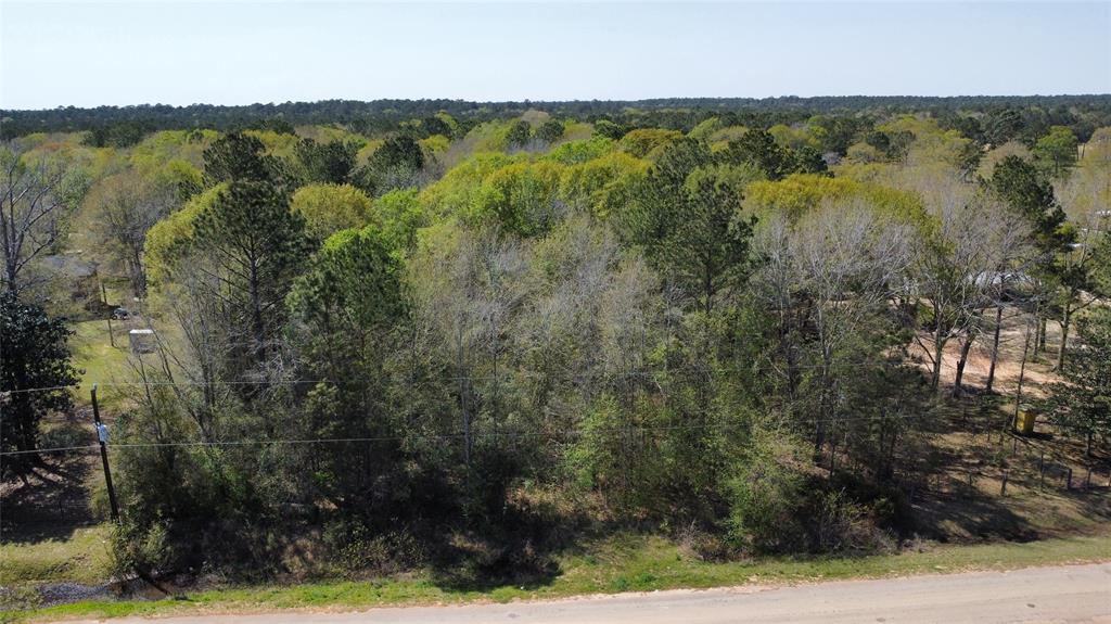 Oak Bend Loop, Cleveland, Texas image 6