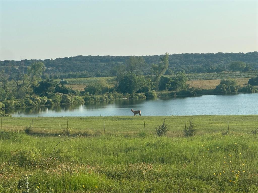 7800 County Road 210, Bertram, Texas image 6