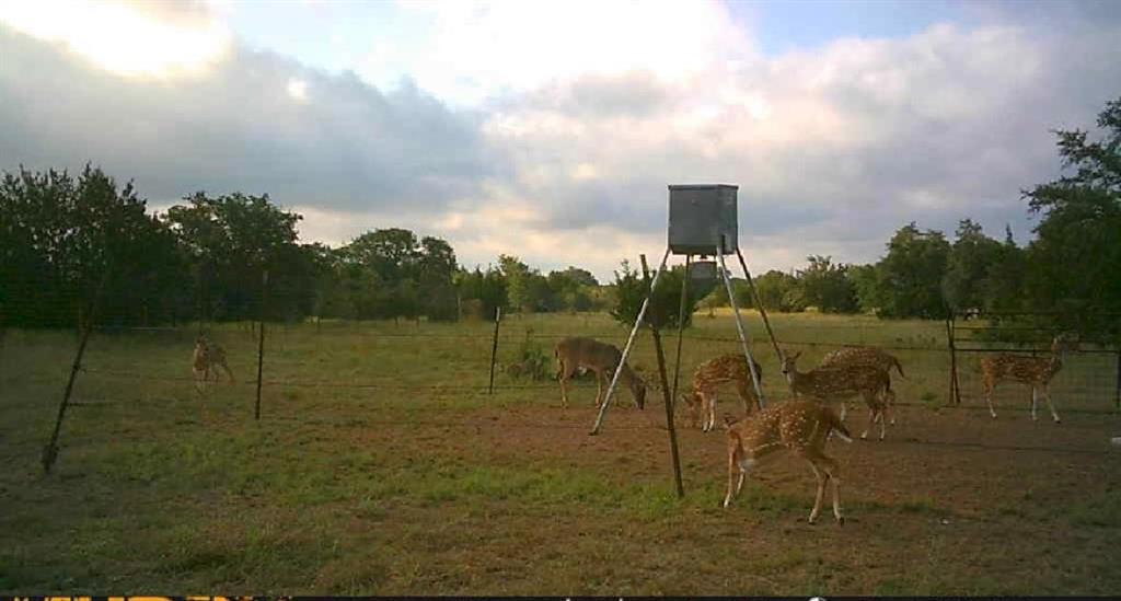 7800 County Road 210, Bertram, Texas image 14