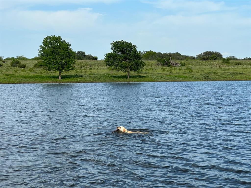 7800 County Road 210, Bertram, Texas image 11
