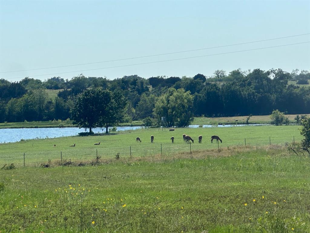 7800 County Road 210, Bertram, Texas image 8