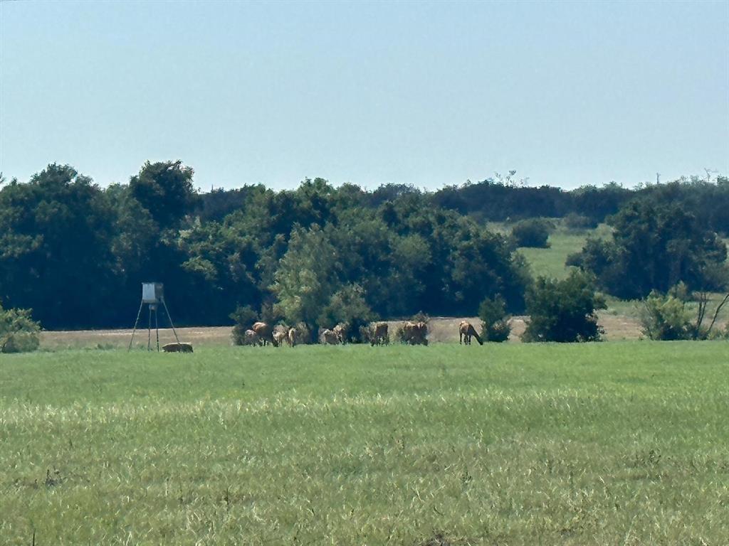 7800 County Road 210, Bertram, Texas image 7