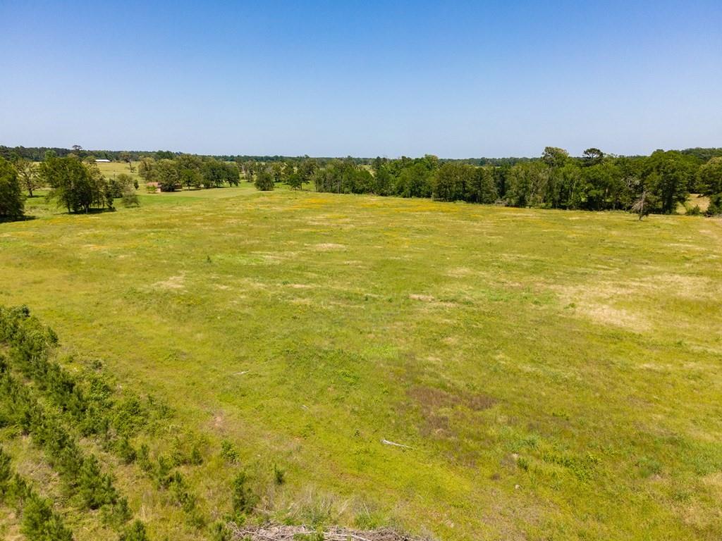 R13687 Cheeseland Road, Pollok, Texas image 10