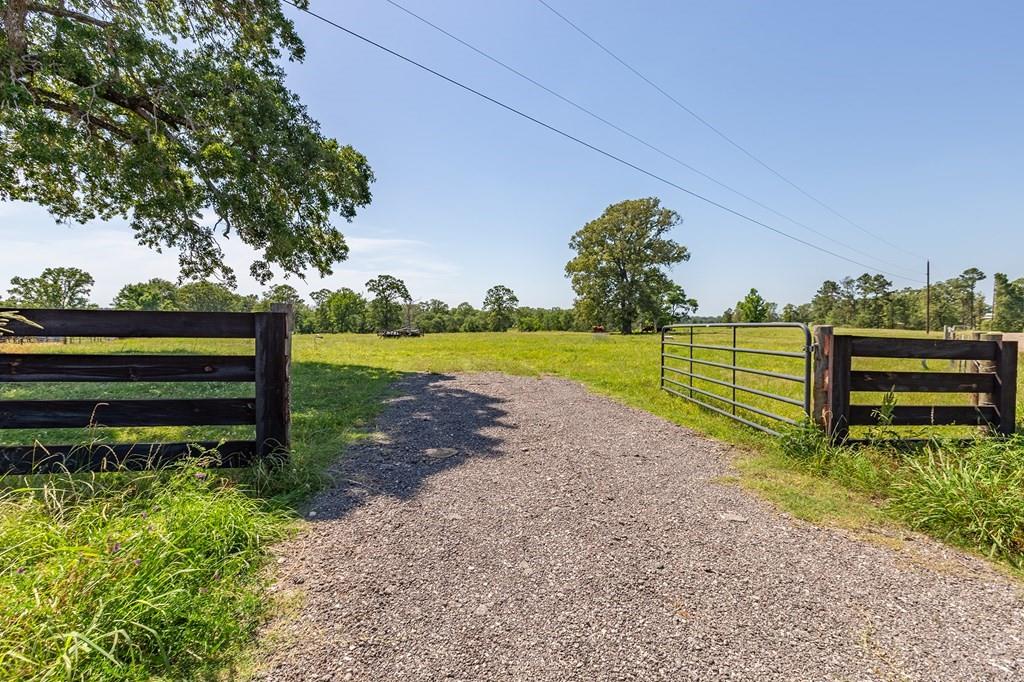 R13687 Cheeseland Road, Pollok, Texas image 6