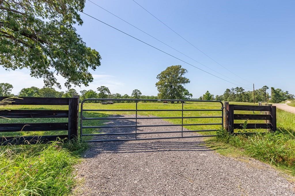 R13687 Cheeseland Road, Pollok, Texas image 5