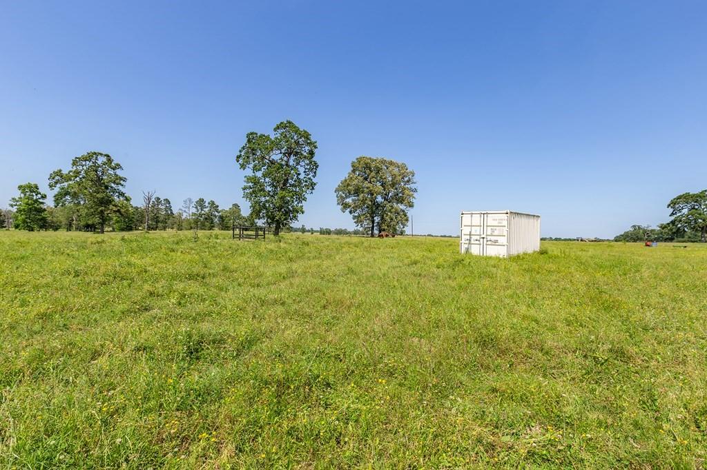 R13687 Cheeseland Road, Pollok, Texas image 25
