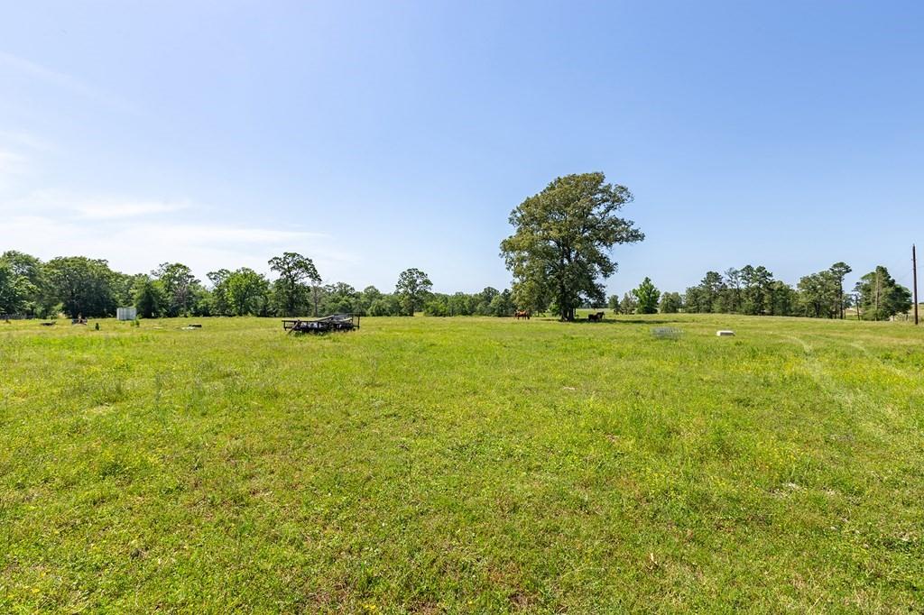 R13687 Cheeseland Road, Pollok, Texas image 28