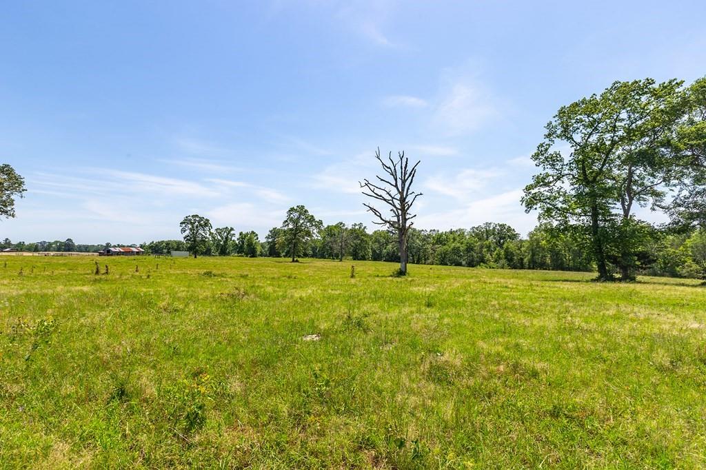 R13687 Cheeseland Road, Pollok, Texas image 22