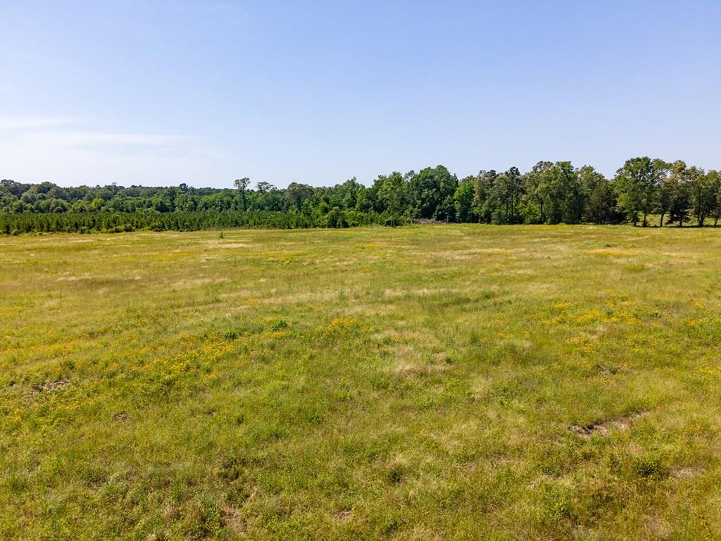 R13687 Cheeseland Road, Pollok, Texas image 20