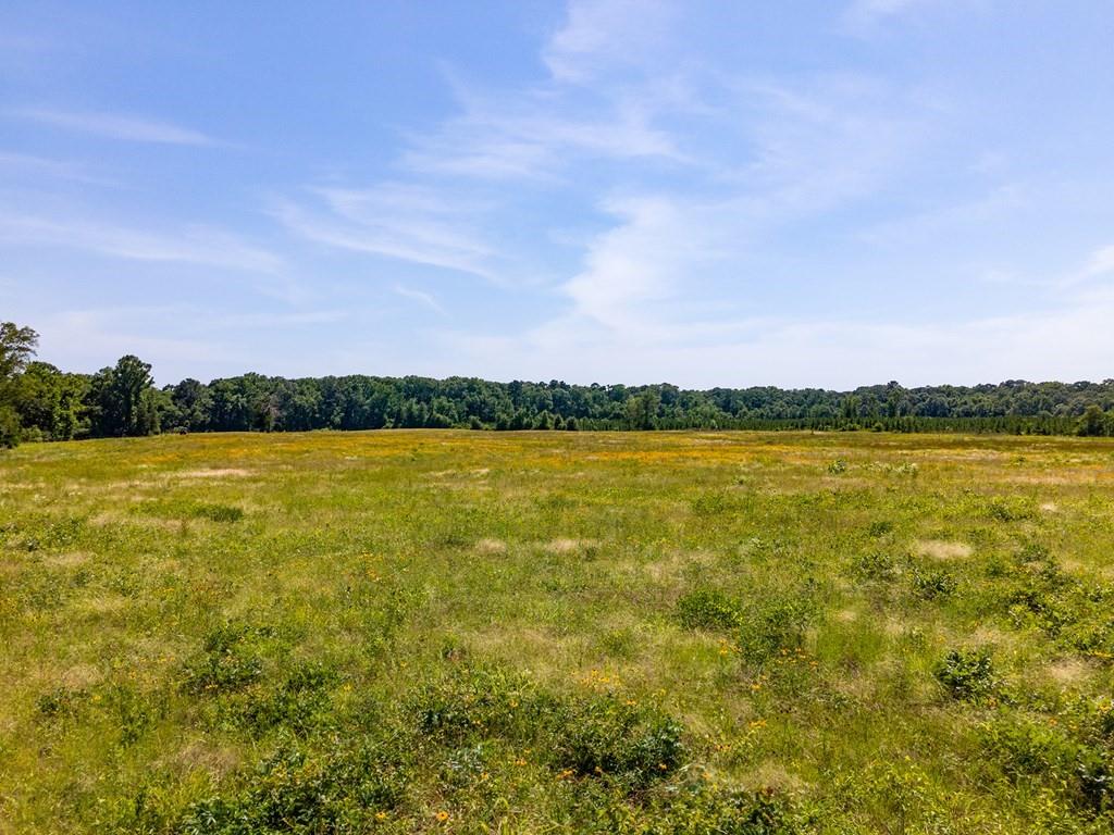 R13687 Cheeseland Road, Pollok, Texas image 16