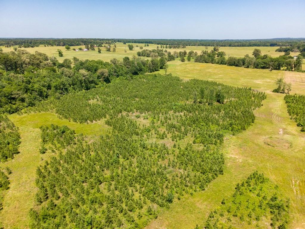 R13687 Cheeseland Road, Pollok, Texas image 11