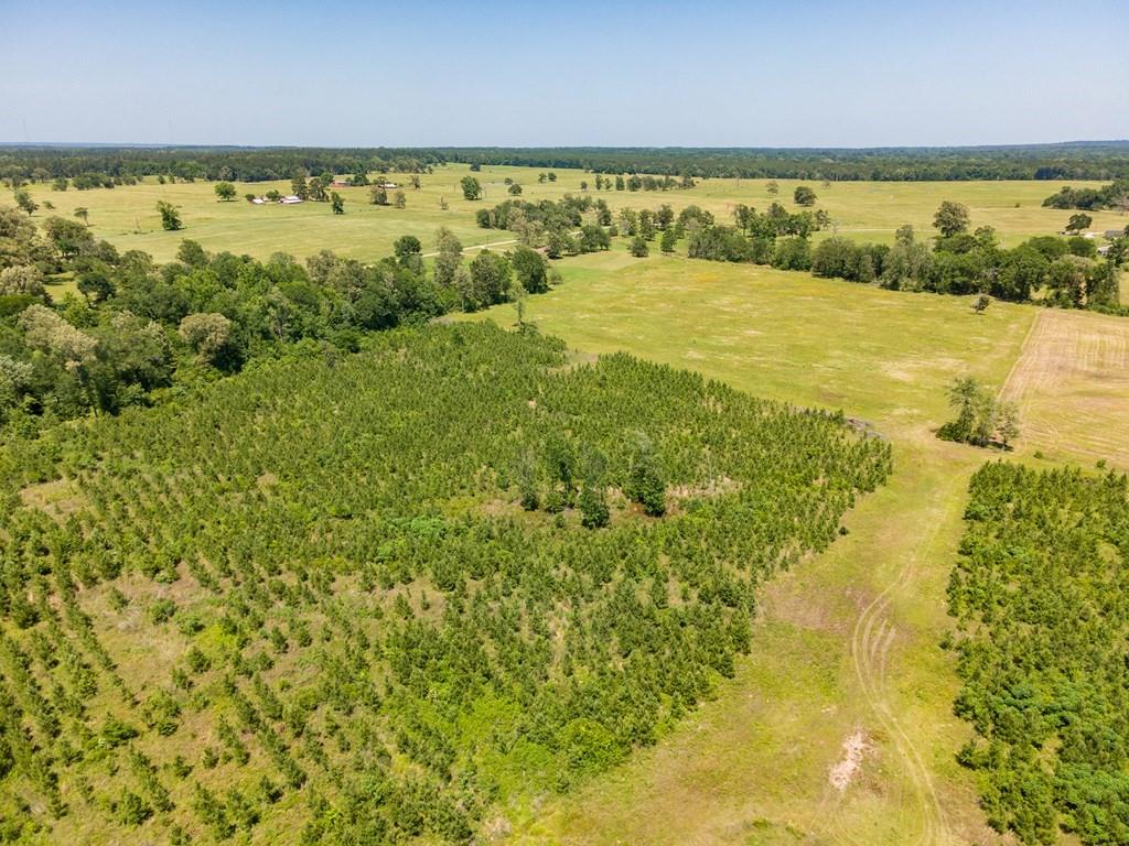 R13687 Cheeseland Road, Pollok, Texas image 13