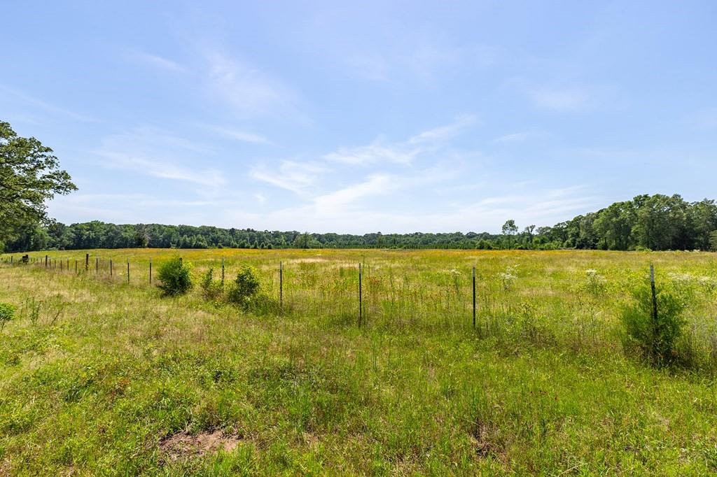 R13687 Cheeseland Road, Pollok, Texas image 23