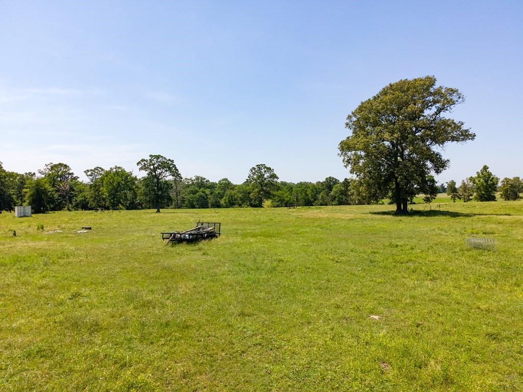 R13687 Cheeseland Road, Pollok, Texas image 9