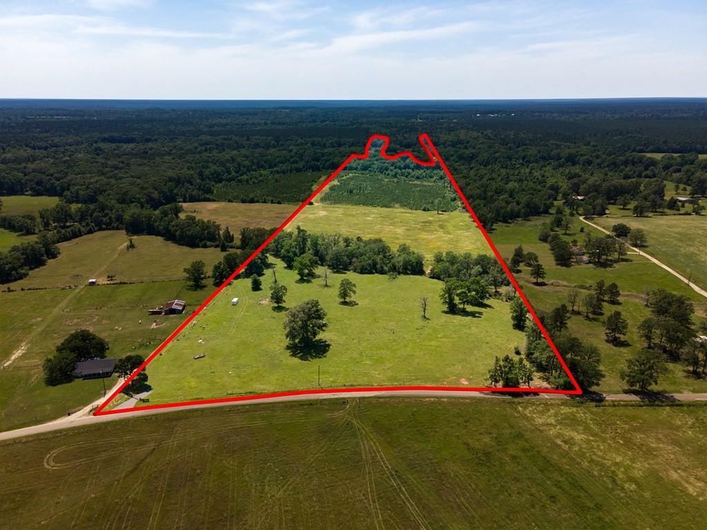 R13687 Cheeseland Road, Pollok, Texas image 2