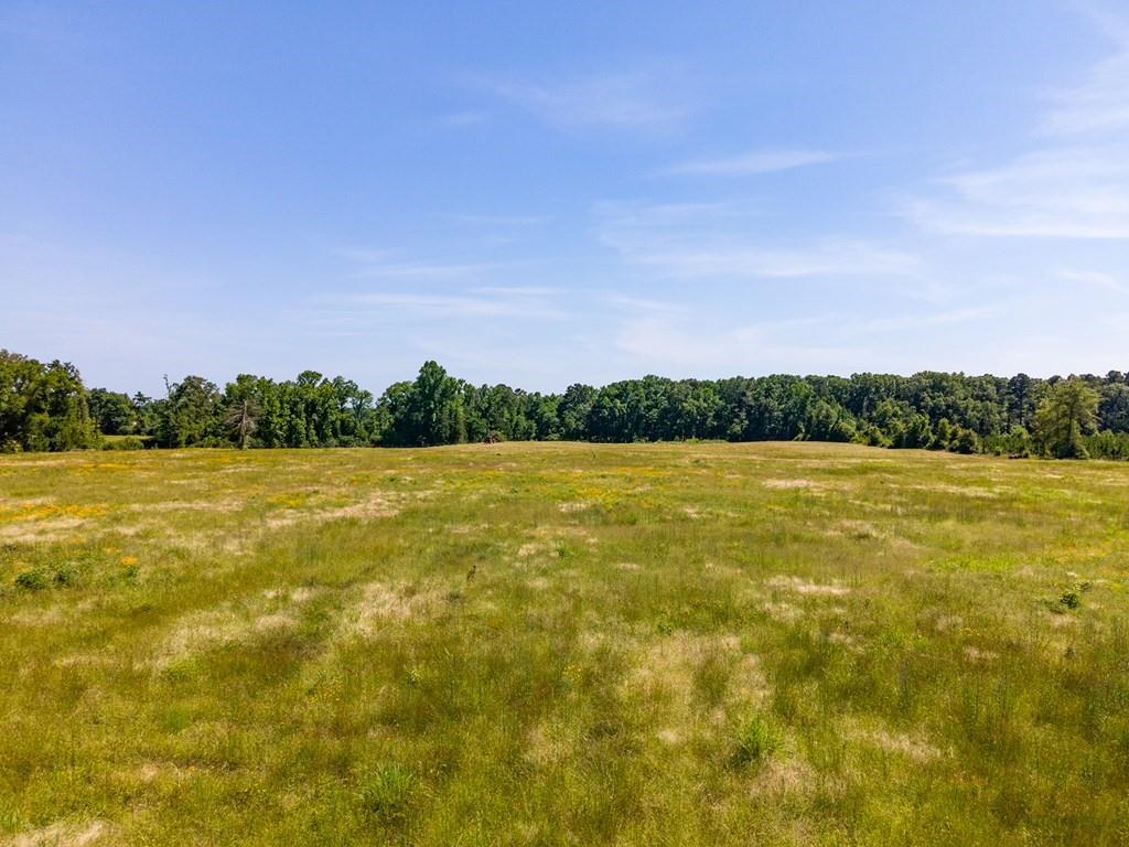 R13687 Cheeseland Road, Pollok, Texas image 17