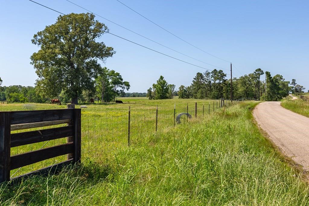 R13687 Cheeseland Road, Pollok, Texas image 30