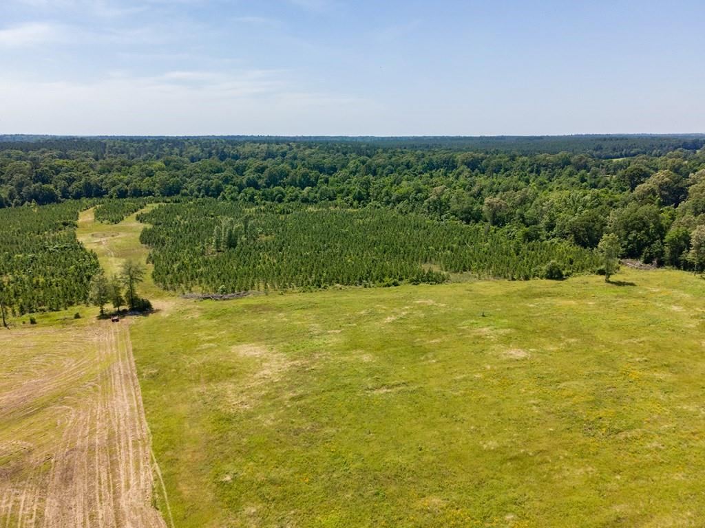 R13687 Cheeseland Road, Pollok, Texas image 14
