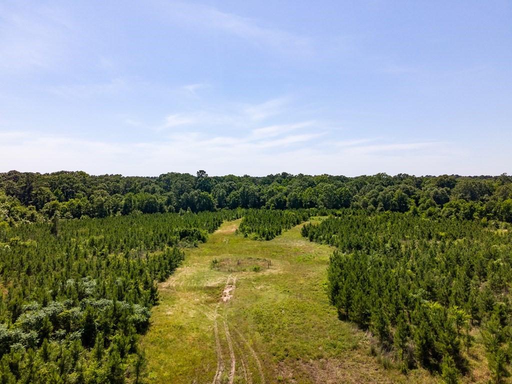 R13687 Cheeseland Road, Pollok, Texas image 18