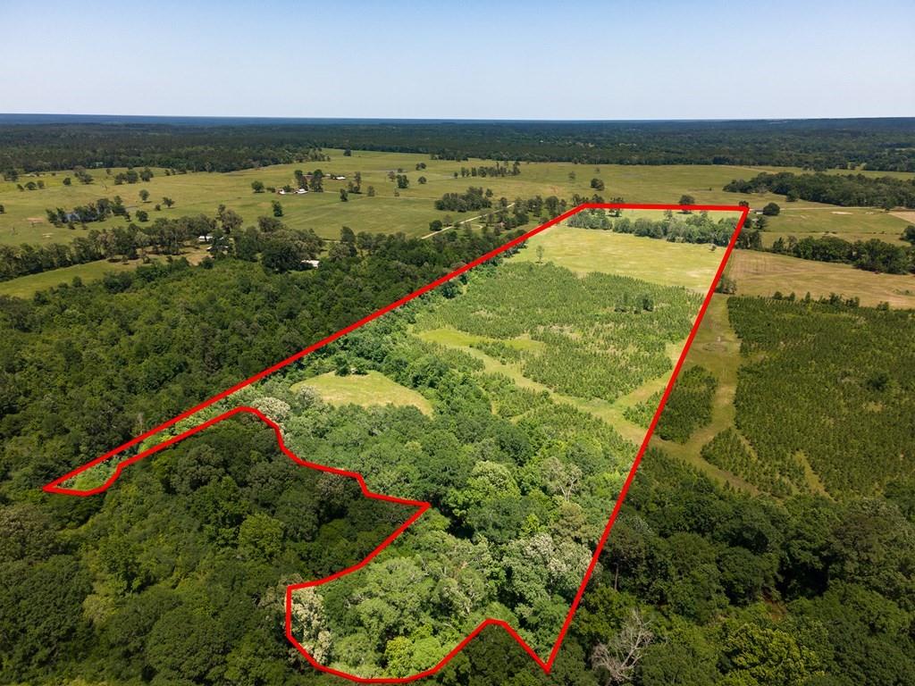 R13687 Cheeseland Road, Pollok, Texas image 4